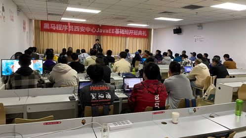 黑馬程序員技術交流社區(qū) 打造開發(fā)者成長生態(tài)圈